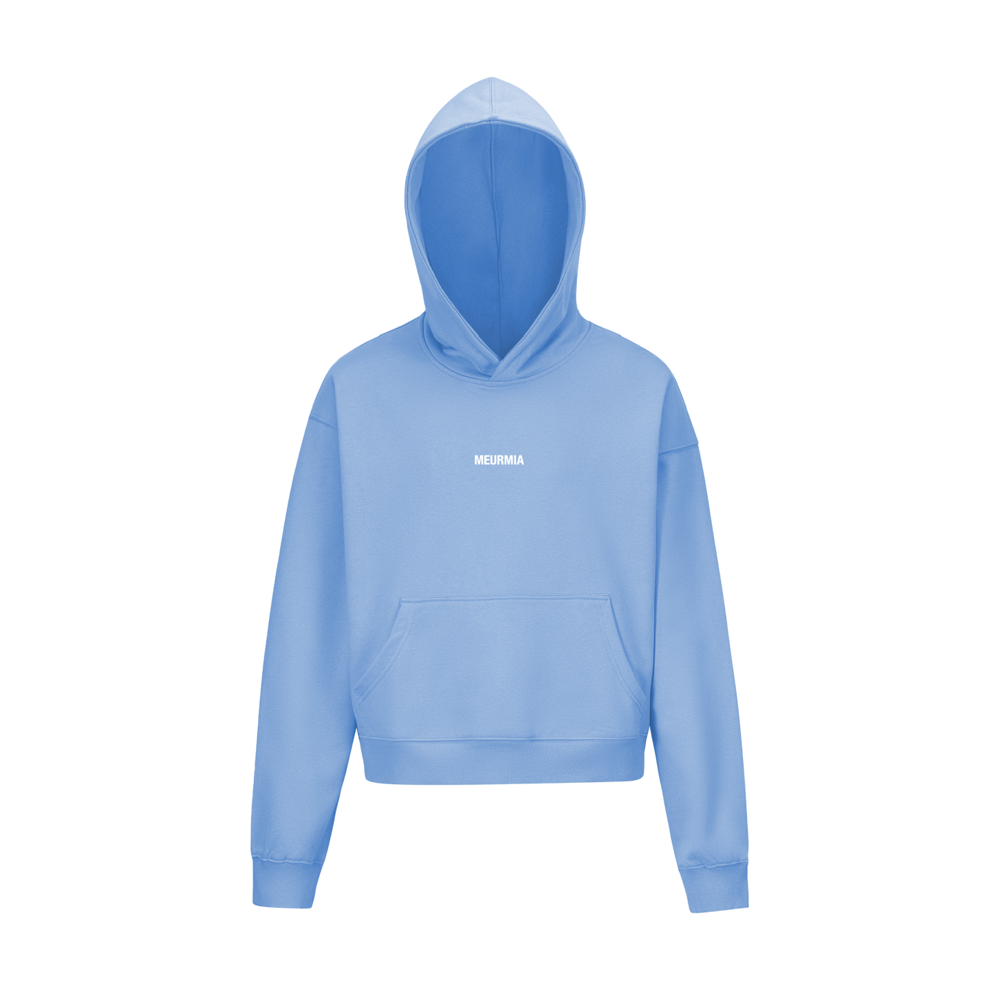 BABYBLUE LOGO HOODIE